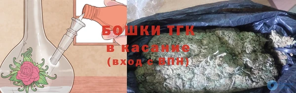 дмт Алексин