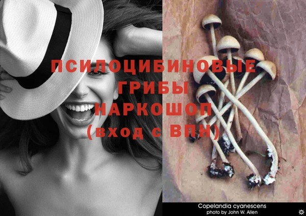 дмт Алексин