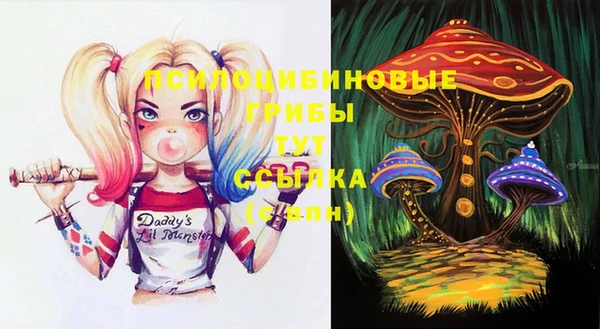 дмт Алексин