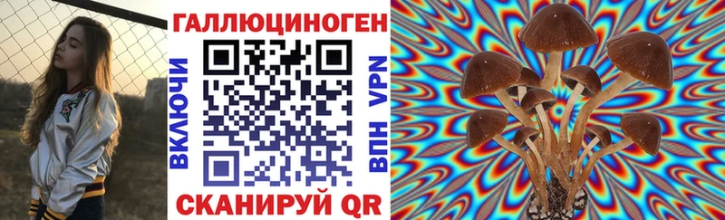 Галлюциногенные грибы Psilocybine cubensis  Жирновск 
